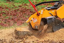 Leaf Removal in Littlerock, CA